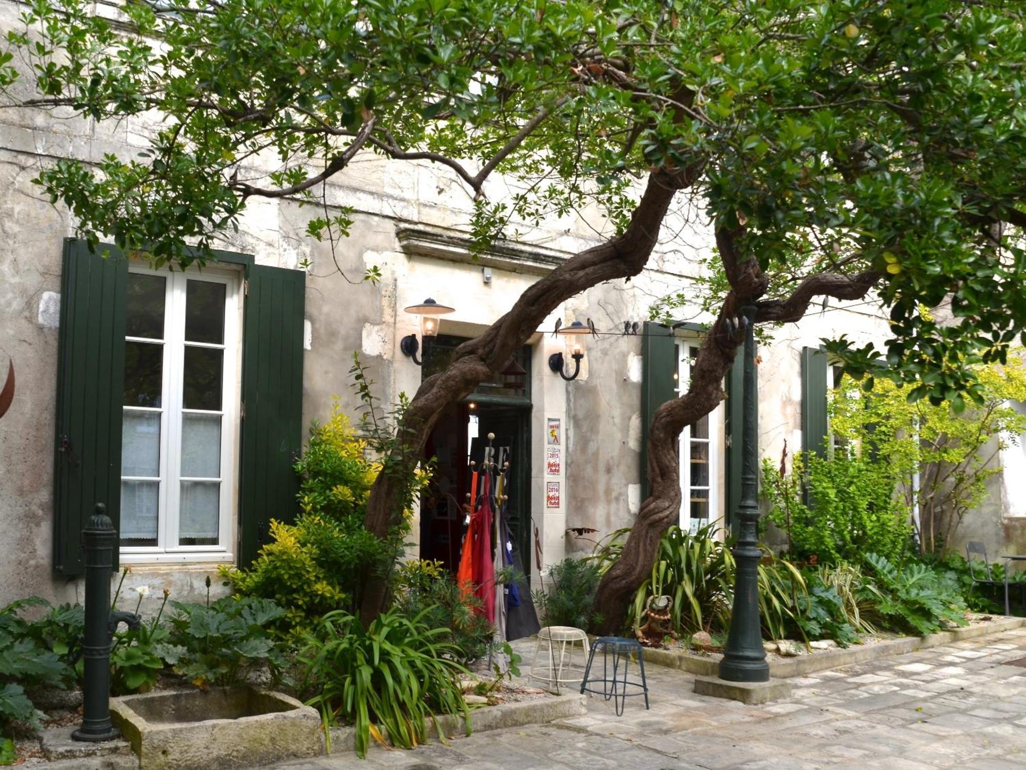 Le Mole Bed and Breakfast La Flotte Eksteriør billede